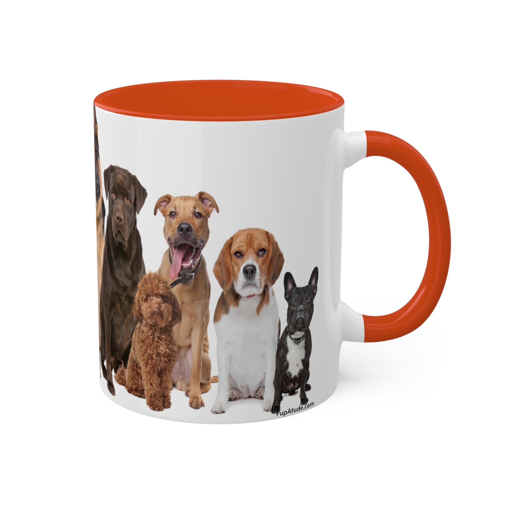 Mixed Breeds Of Dogs & Puppies Colorful Mugs, 11oz