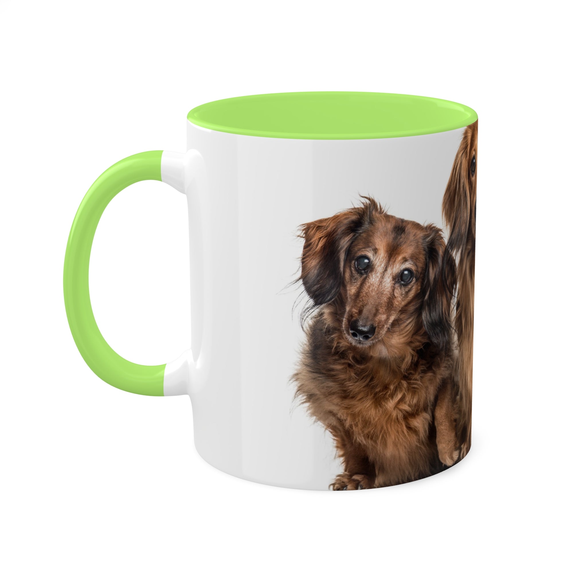 Mixed Breeds Of Dogs Colorful Mugs, 11oz