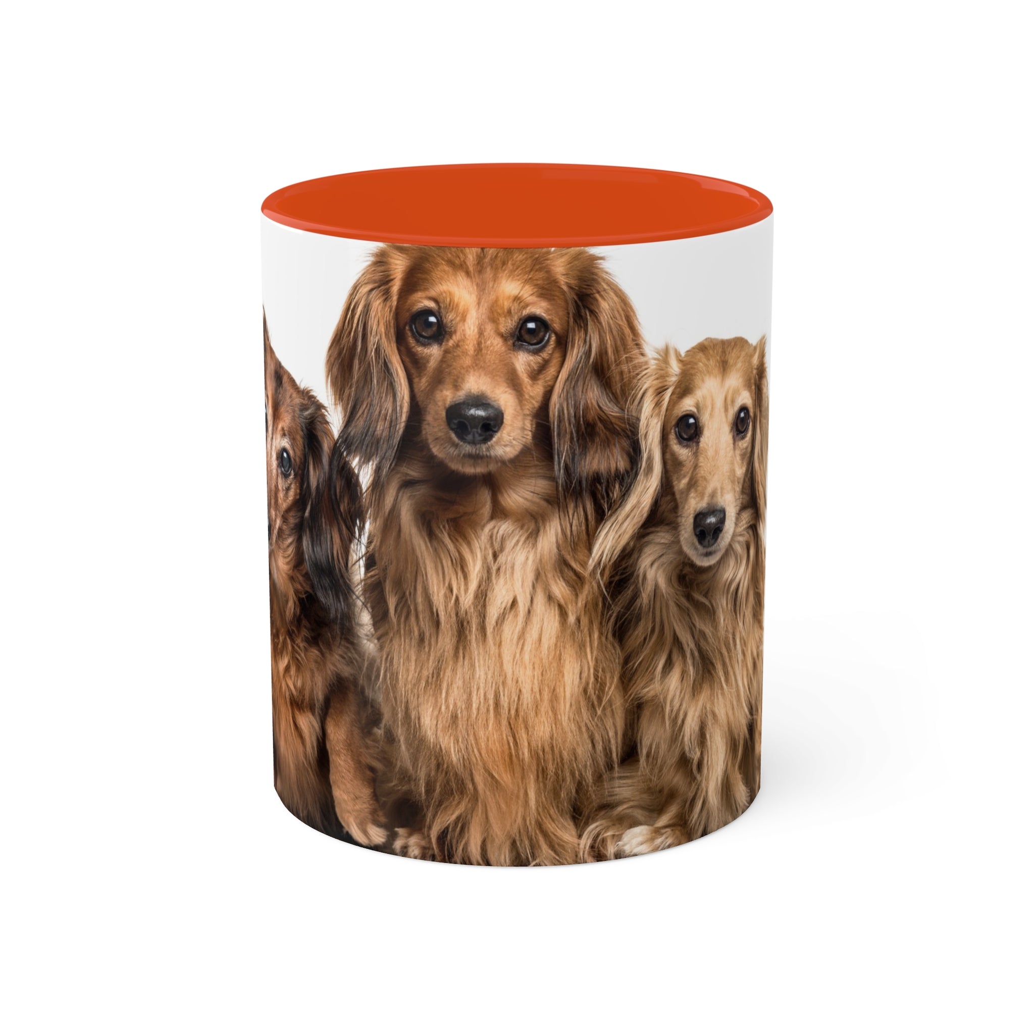 Mixed Breeds Of Dogs Colorful Mugs, 11oz