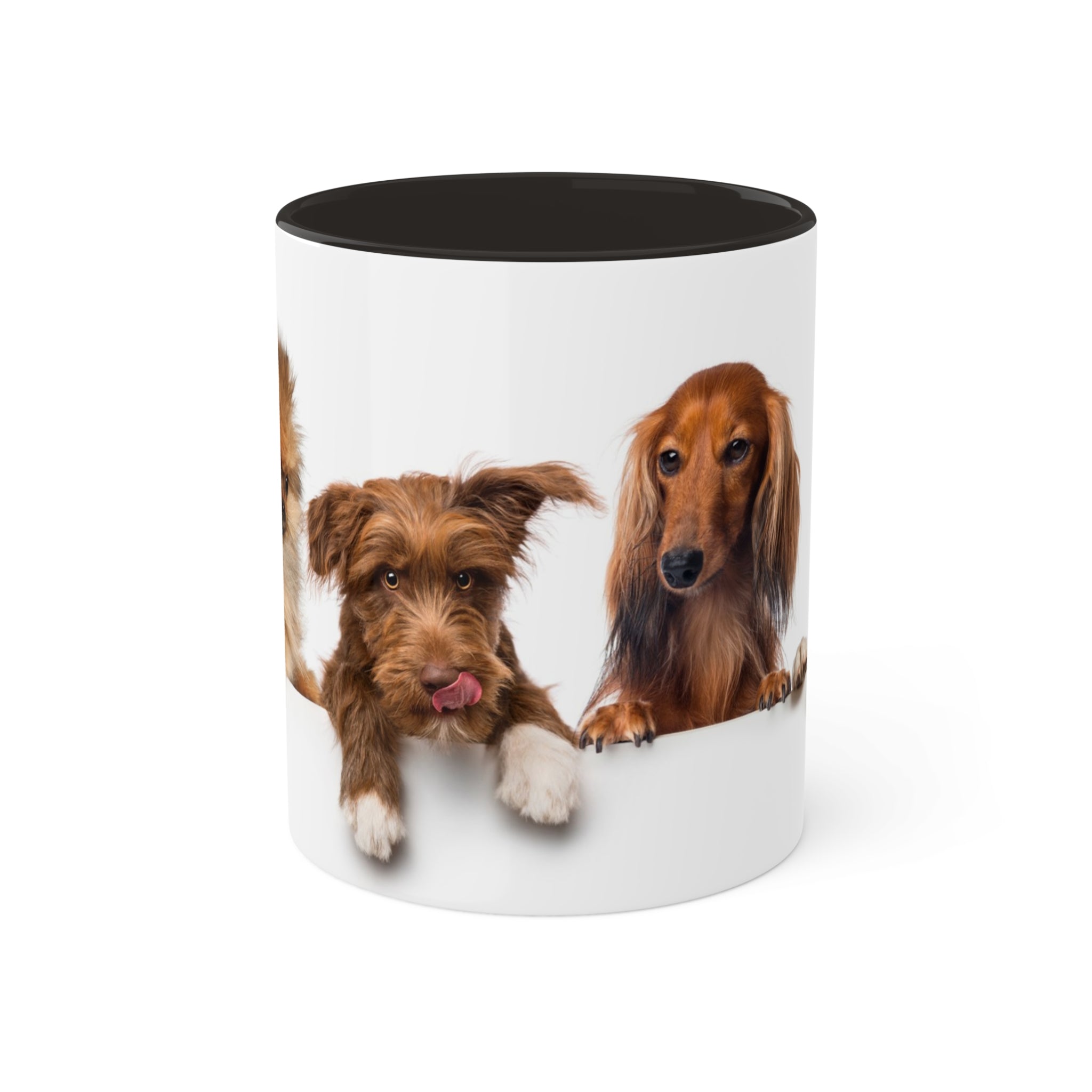 Mixed Breeds Of Dogs Colorful Mugs, 11oz