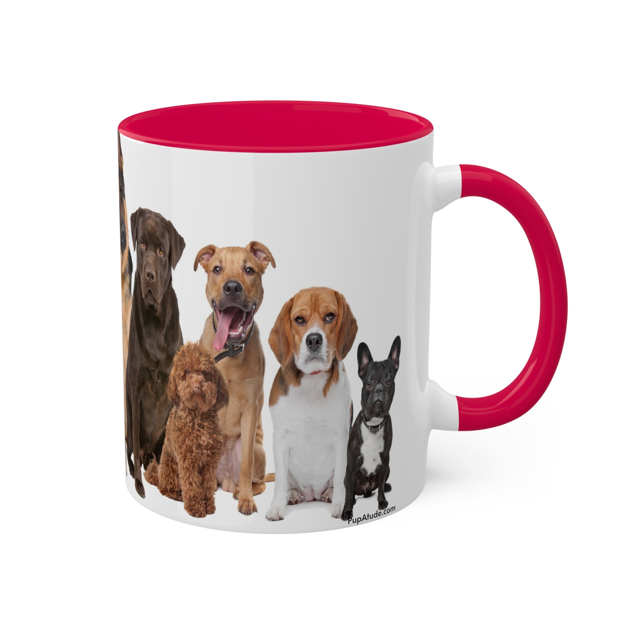 Mixed Breeds Of Dogs & Puppies Colorful Mugs, 11oz