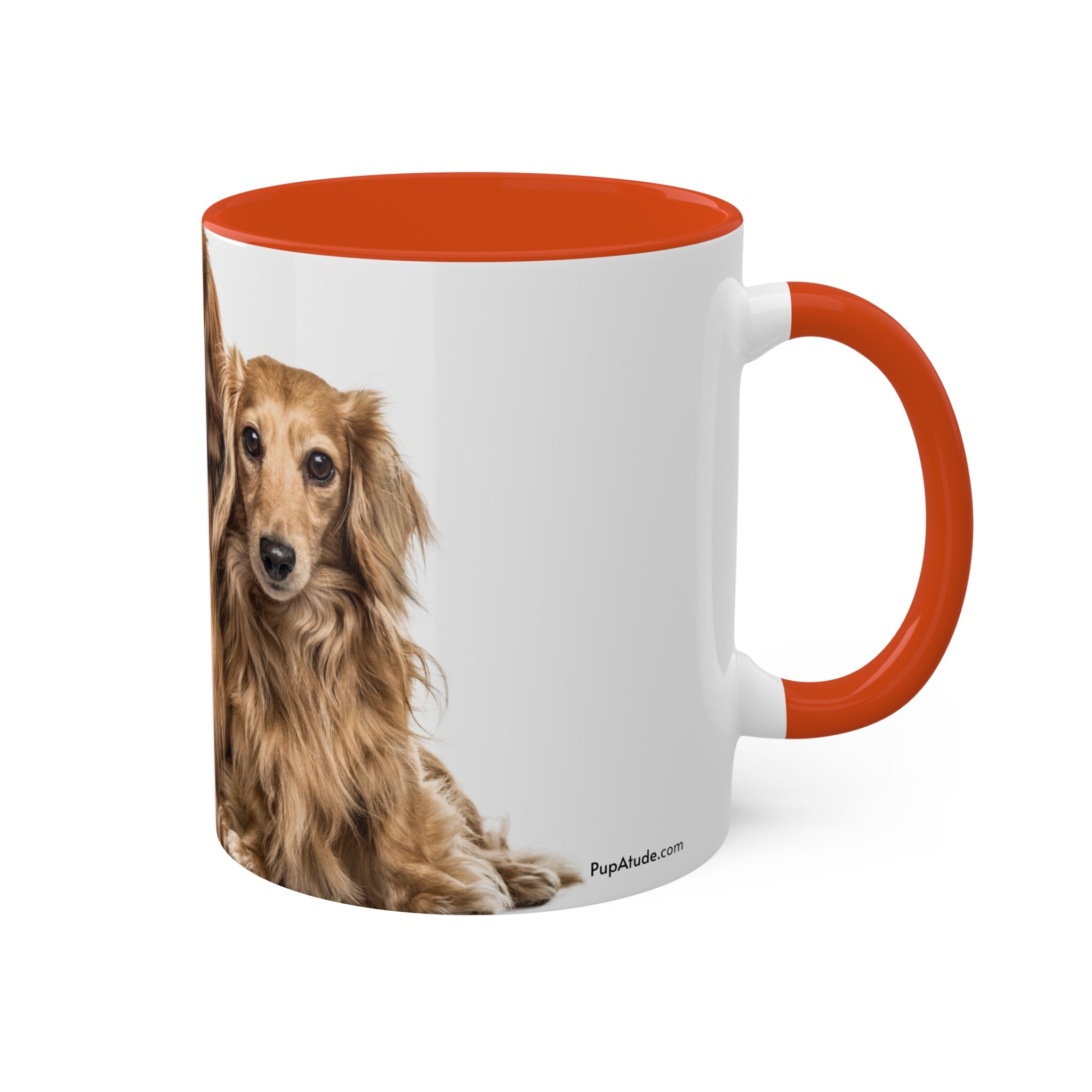 Mixed Breeds Of Dogs Colorful Mugs, 11oz