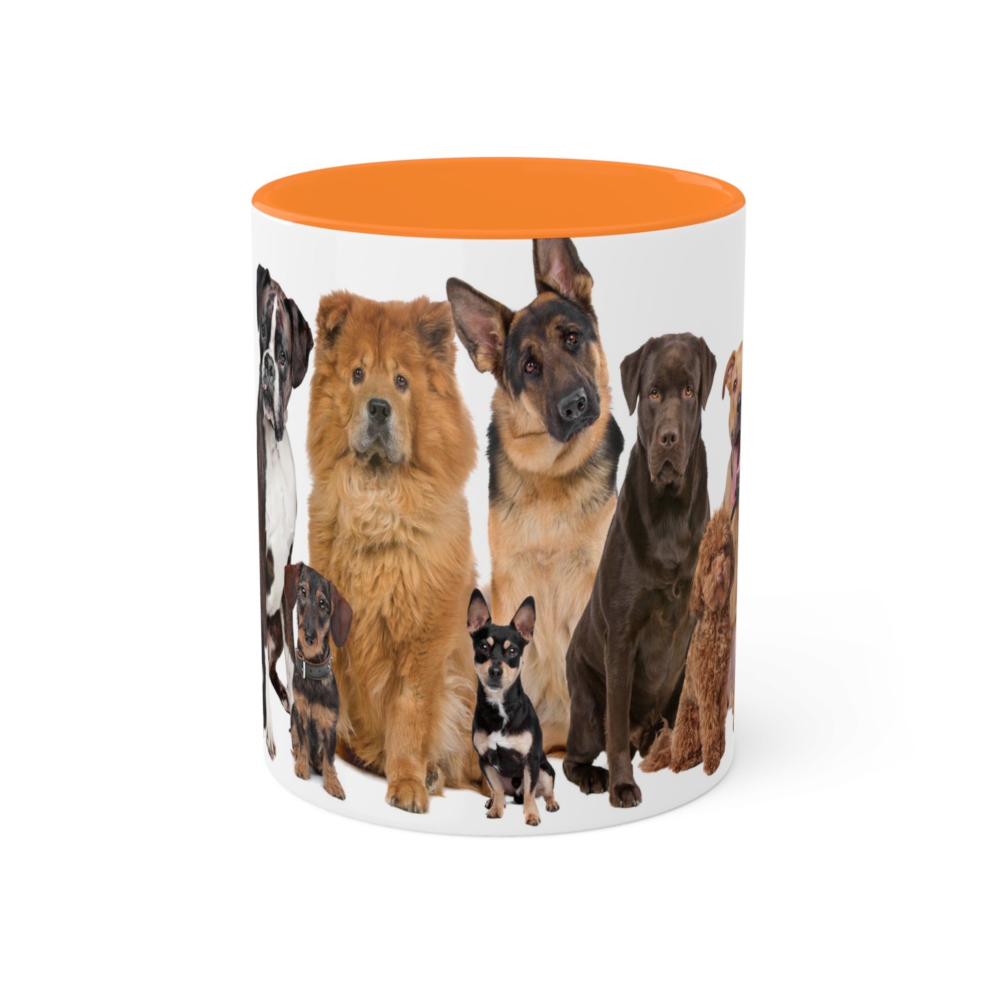 Mixed Breeds Of Dogs & Puppies Colorful Mugs, 11oz