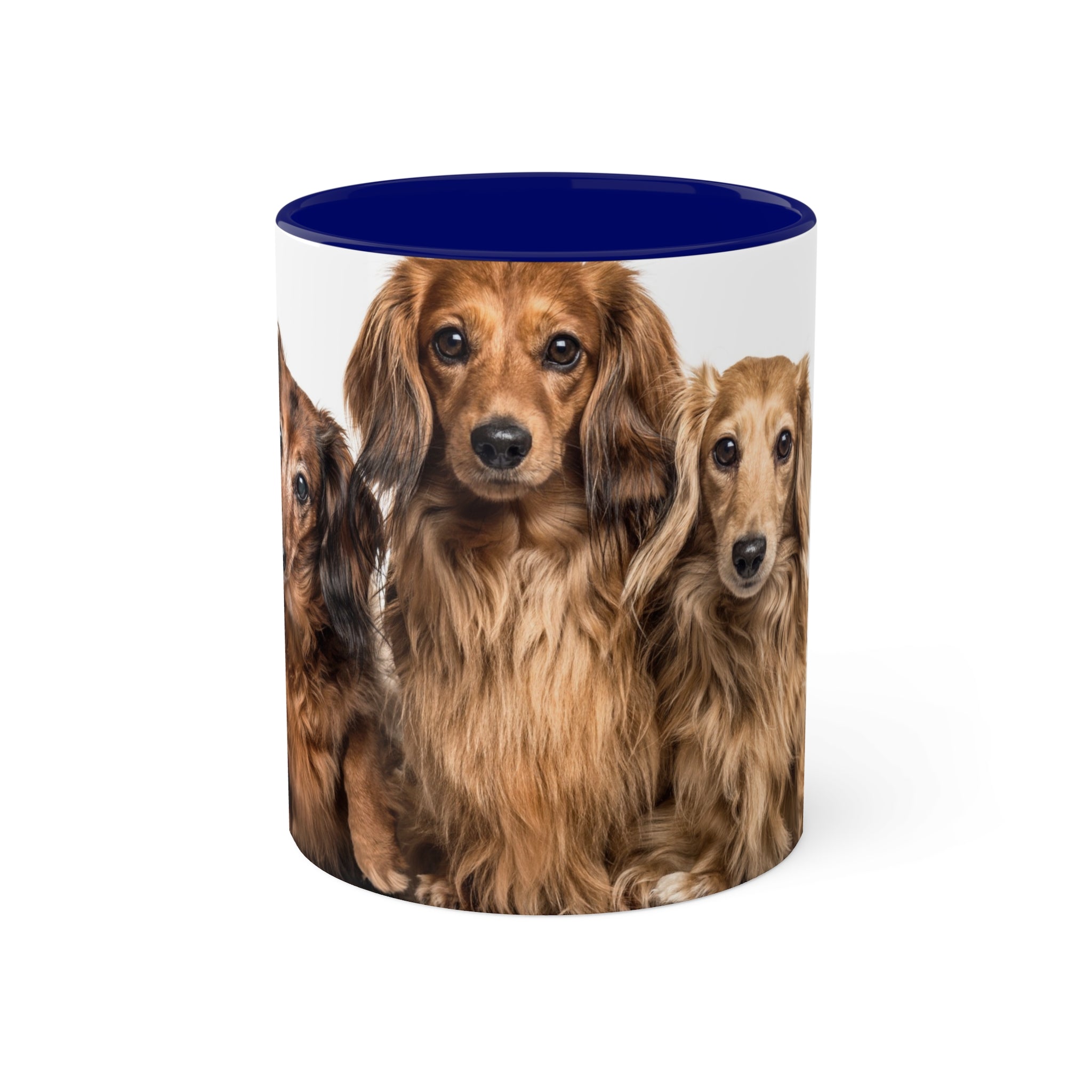 Mixed Breeds Of Dogs Colorful Mugs, 11oz