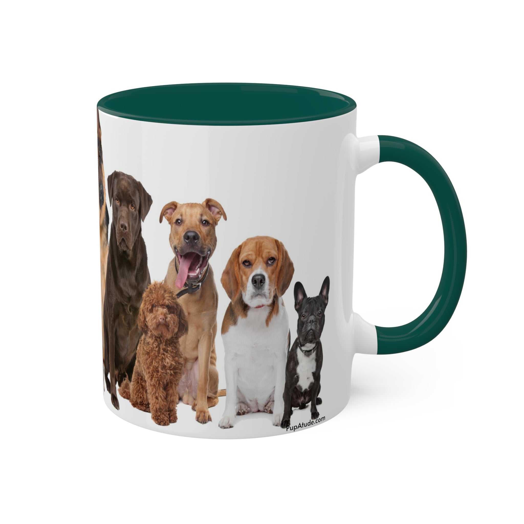 Mixed Breeds Of Dogs & Puppies Colorful Mugs, 11oz