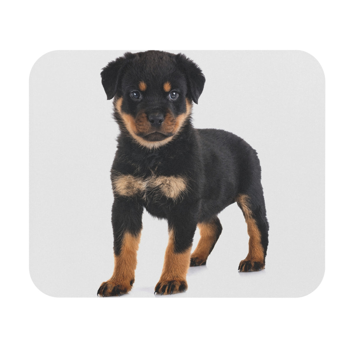 Rottweiler Mouse Pad (Rectangle)
