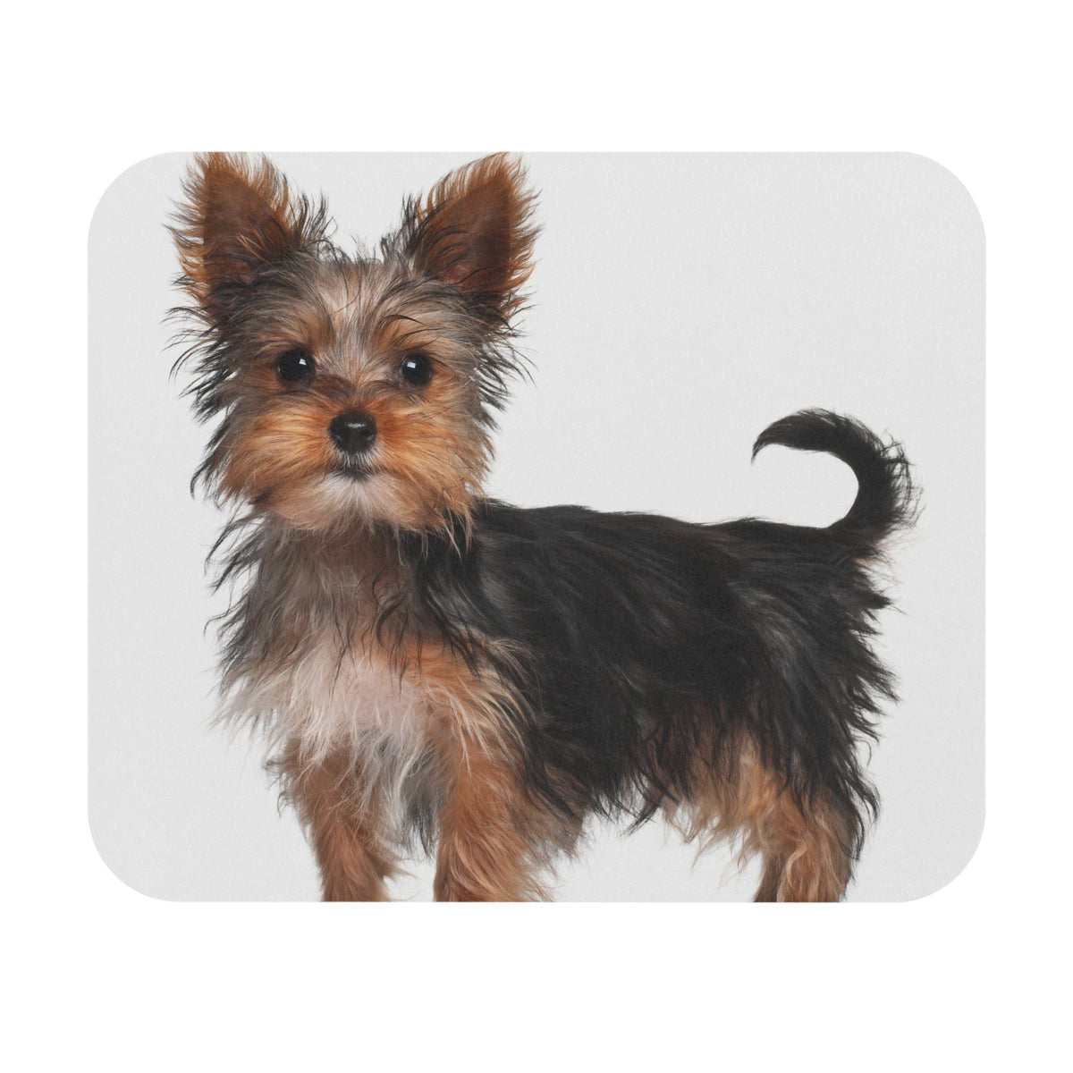 Yorkshire Terrier Mouse Pad (Rectangle)