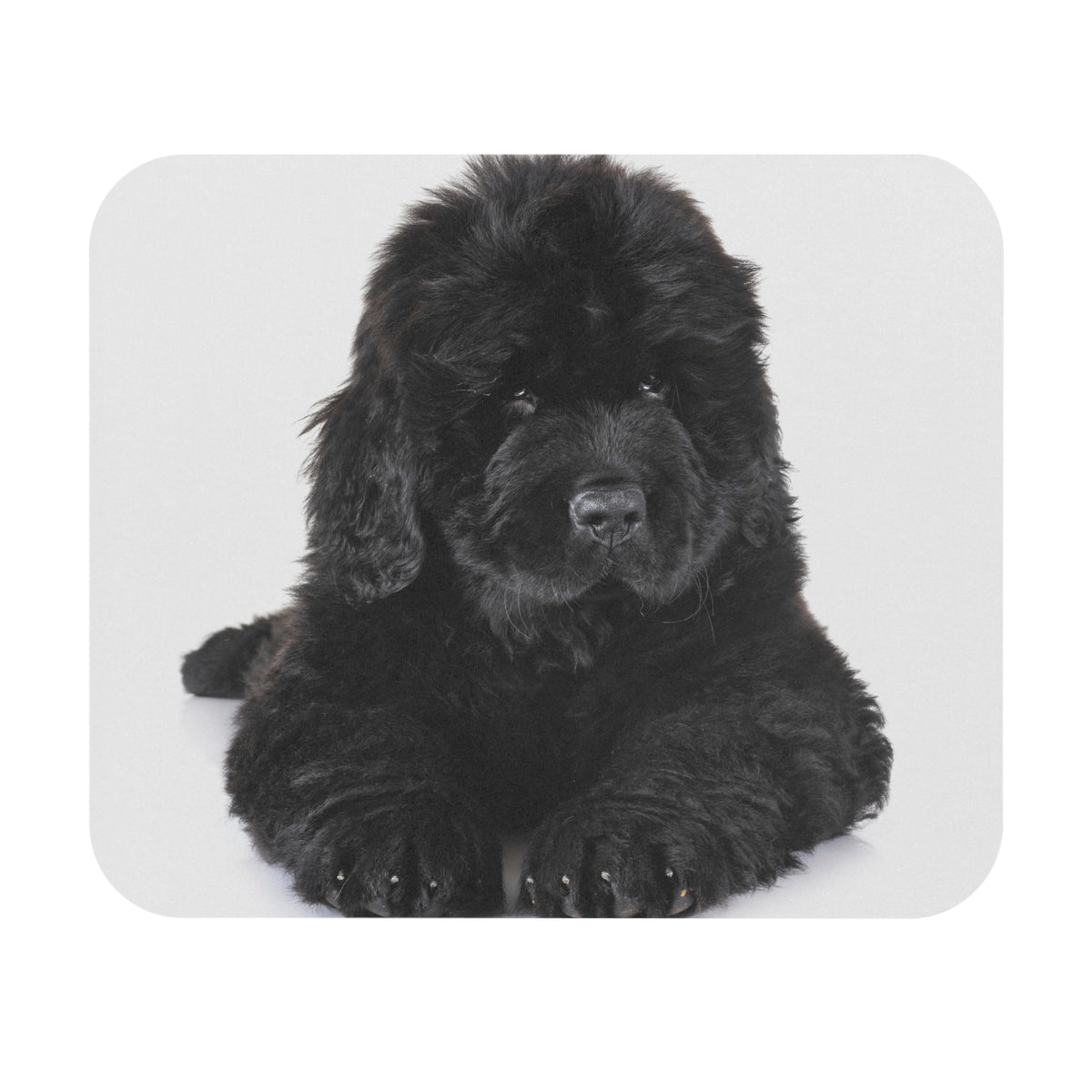 Newfoundland Mouse Pad (Rectangle)