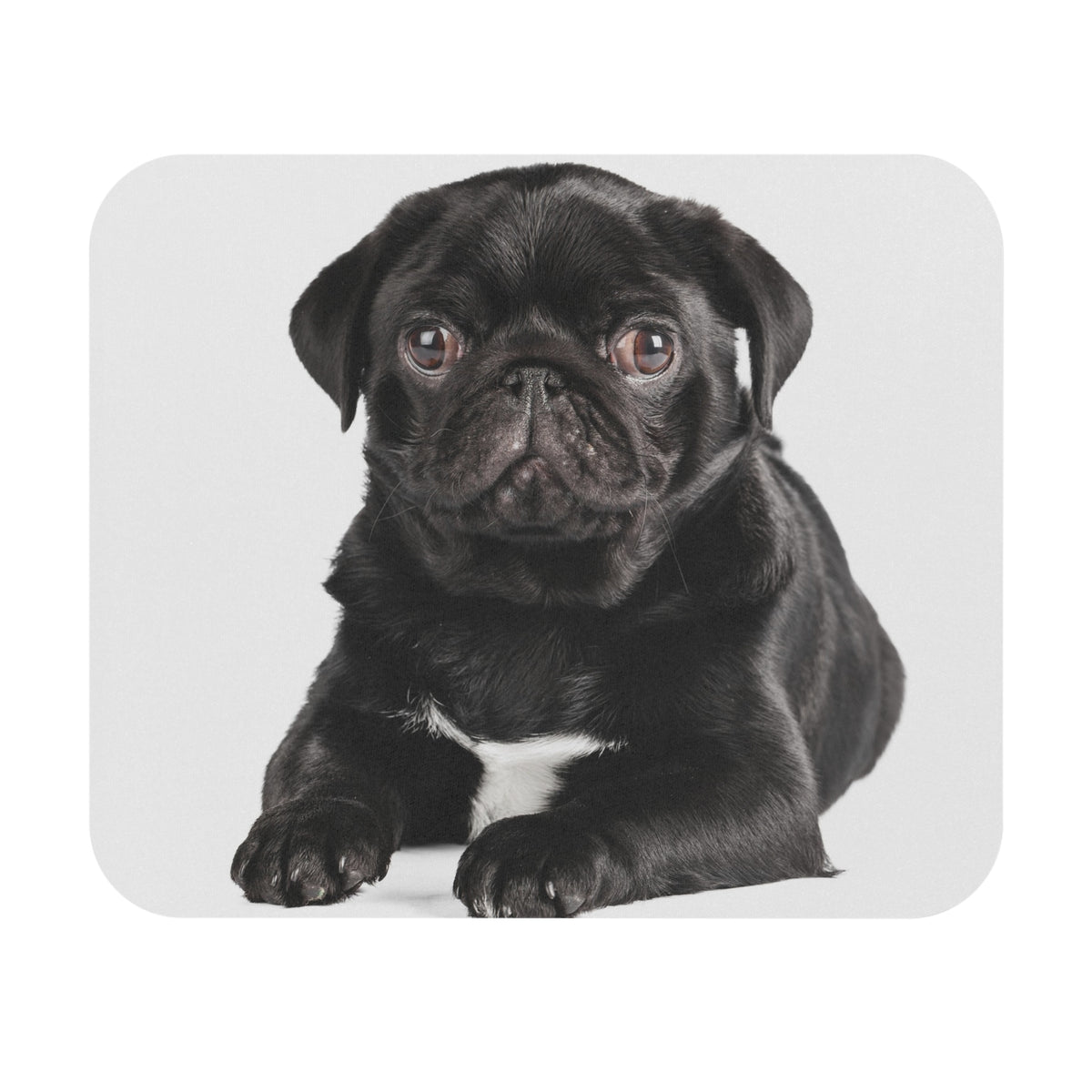 Pug Mouse Pad (Rectangle)