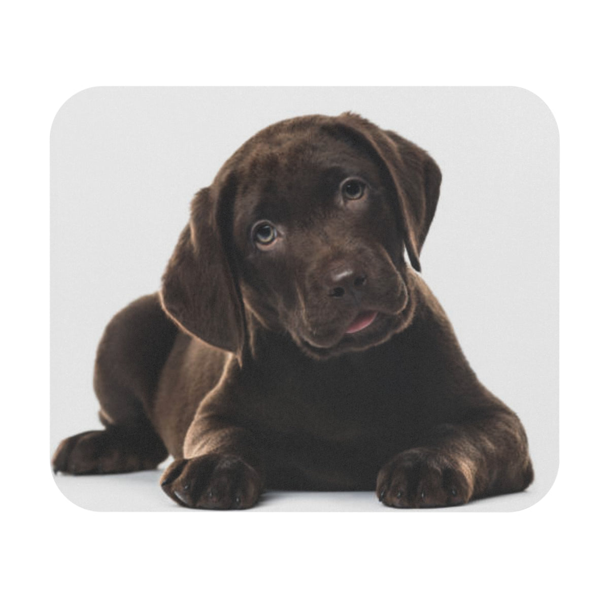 Labrador Retriever Mouse Pad (Rectangle)