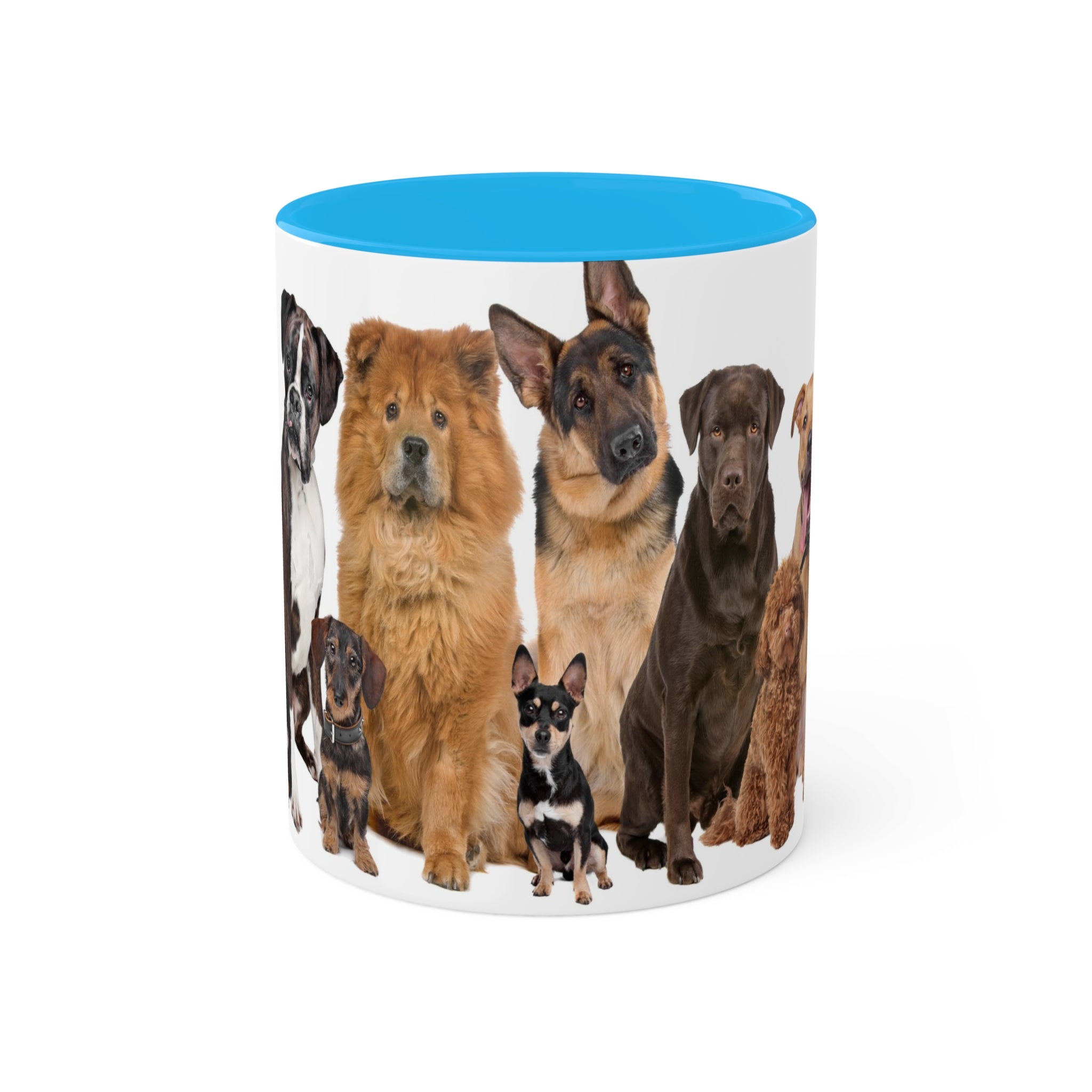 Mixed Breeds Of Dogs & Puppies Colorful Mugs, 11oz