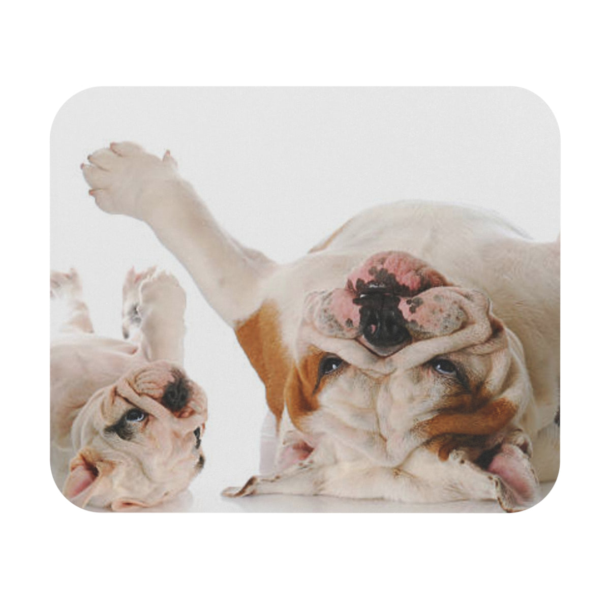 Two Bulldogs Mouse Pad (Rectangle)