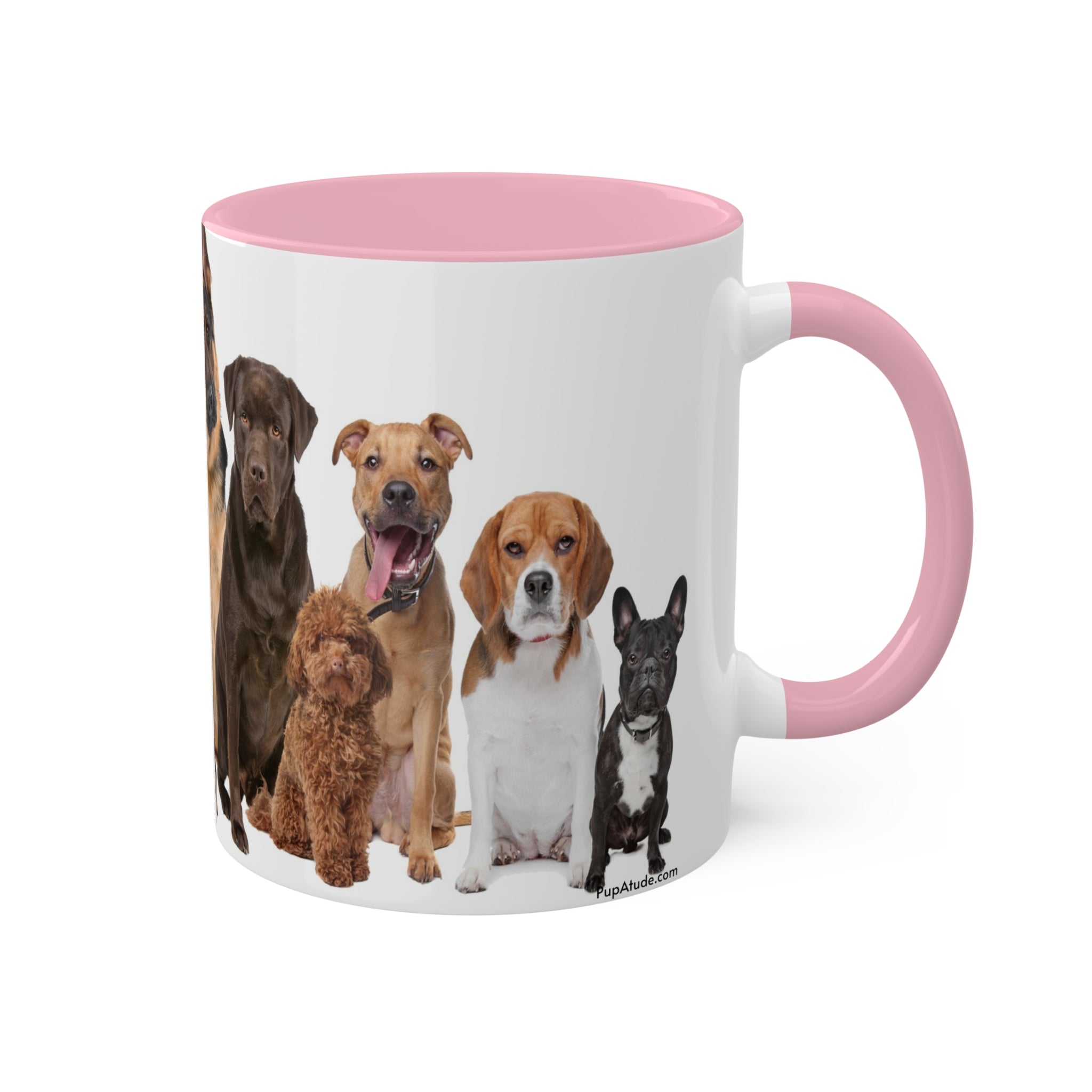 Mixed Breeds Of Dogs & Puppies Colorful Mugs, 11oz