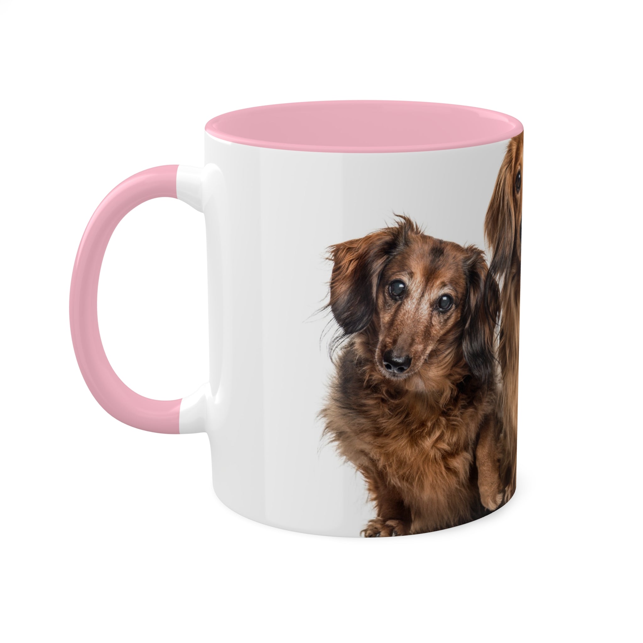 Mixed Breeds Of Dogs Colorful Mugs, 11oz