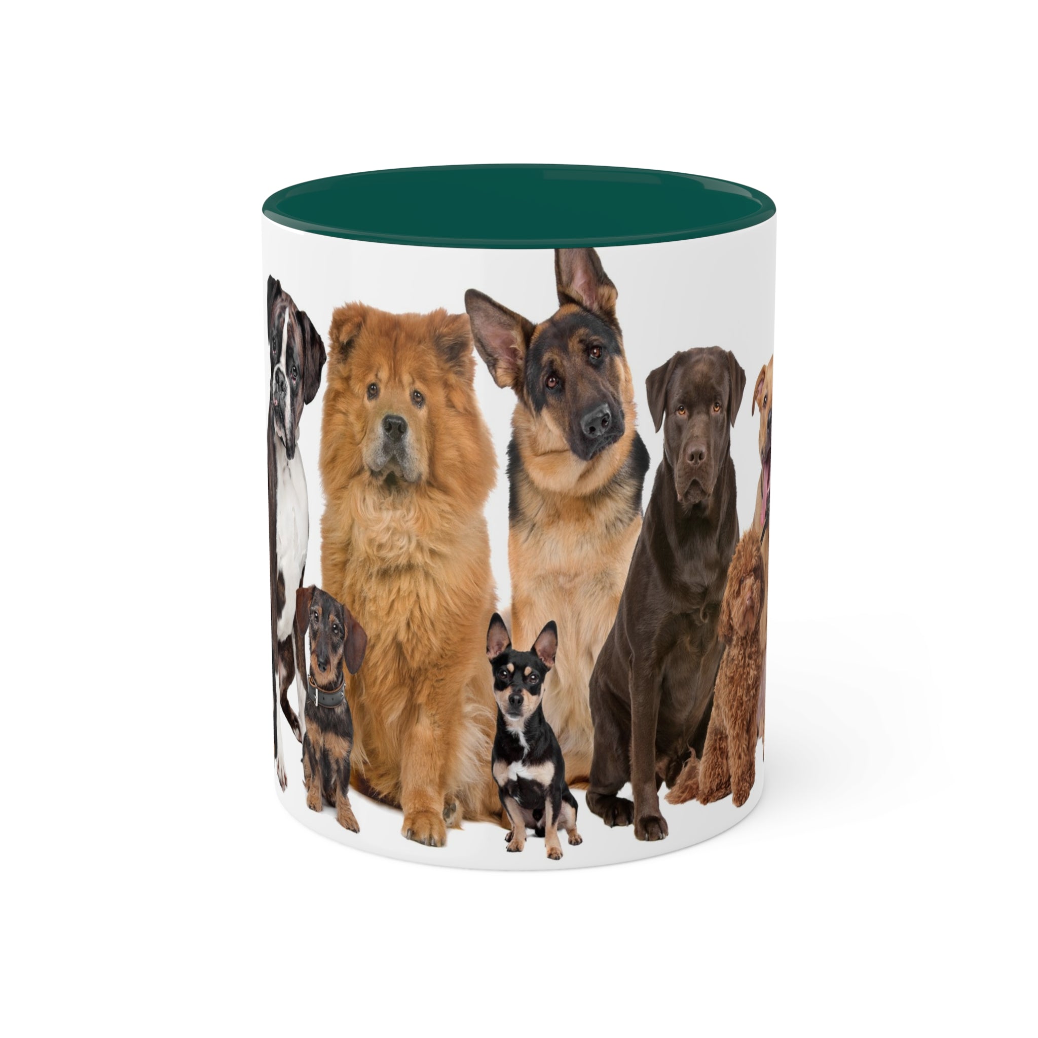 Mixed Breeds Of Dogs & Puppies Colorful Mugs, 11oz