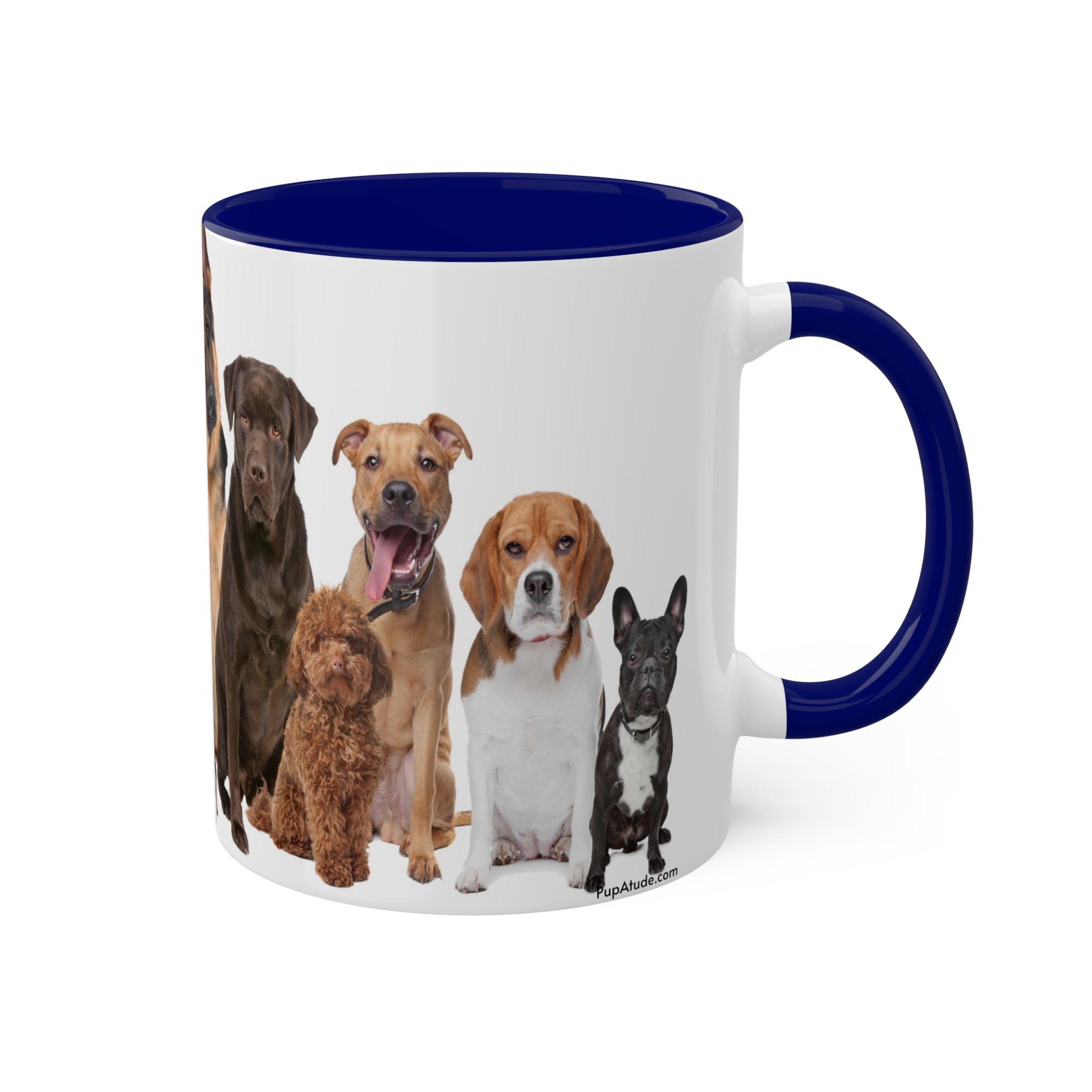 Mixed Breeds Of Dogs & Puppies Colorful Mugs, 11oz