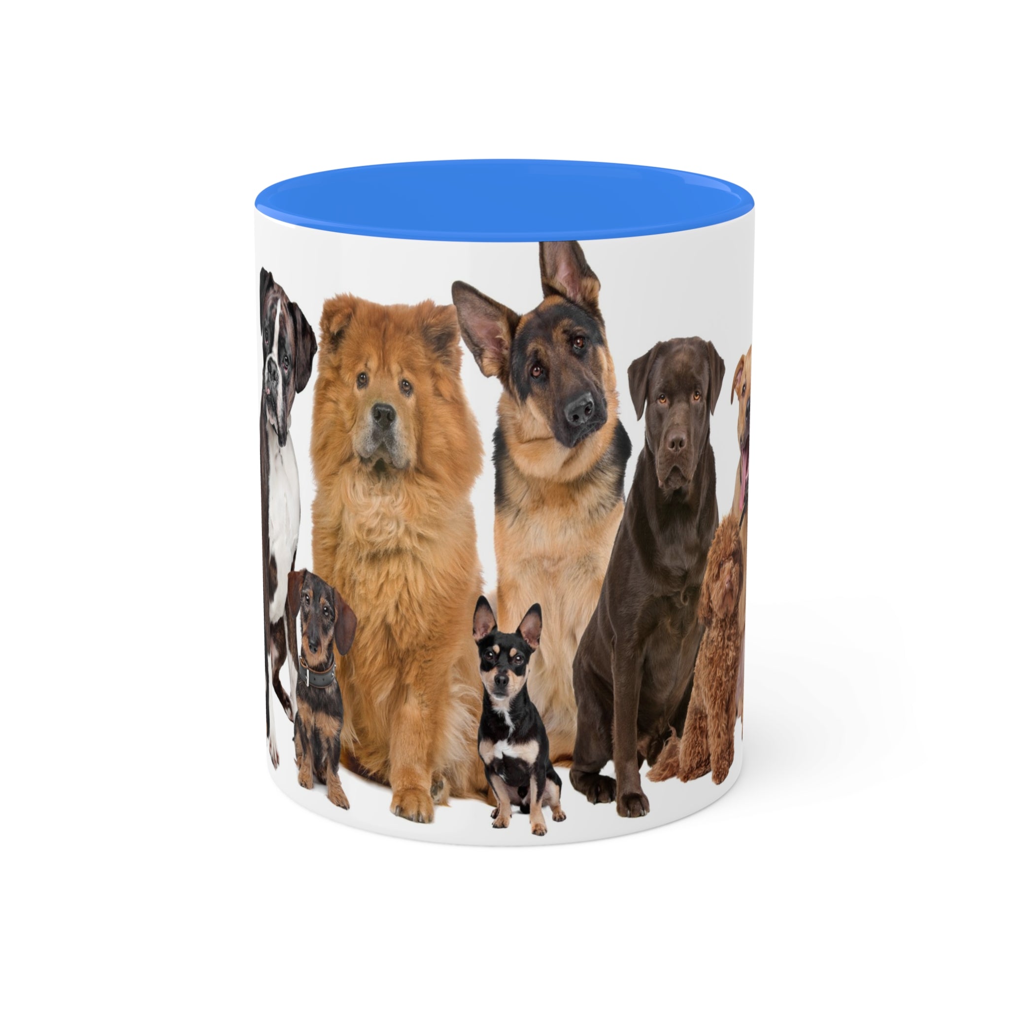 Mixed Breeds Of Dogs & Puppies Colorful Mugs, 11oz