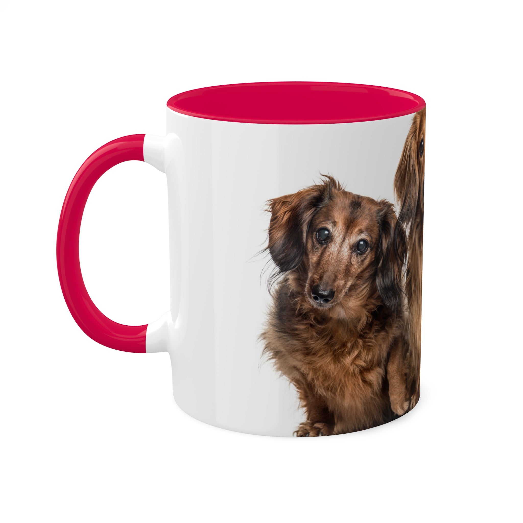 Mixed Breeds Of Dogs Colorful Mugs, 11oz