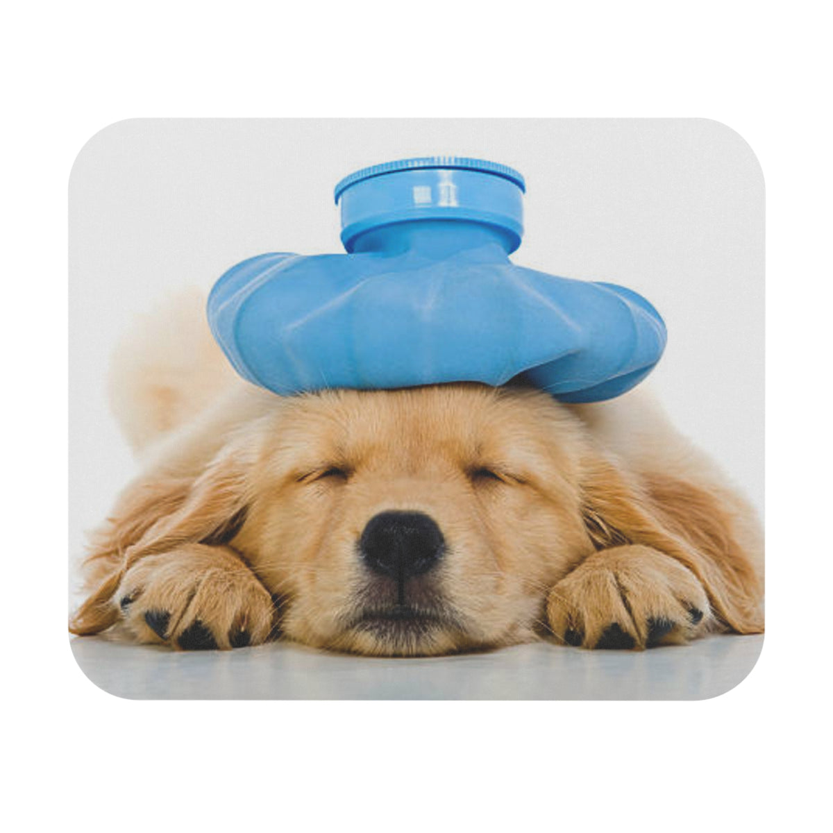 Golden Retriever Mouse Pad (Rectangle)