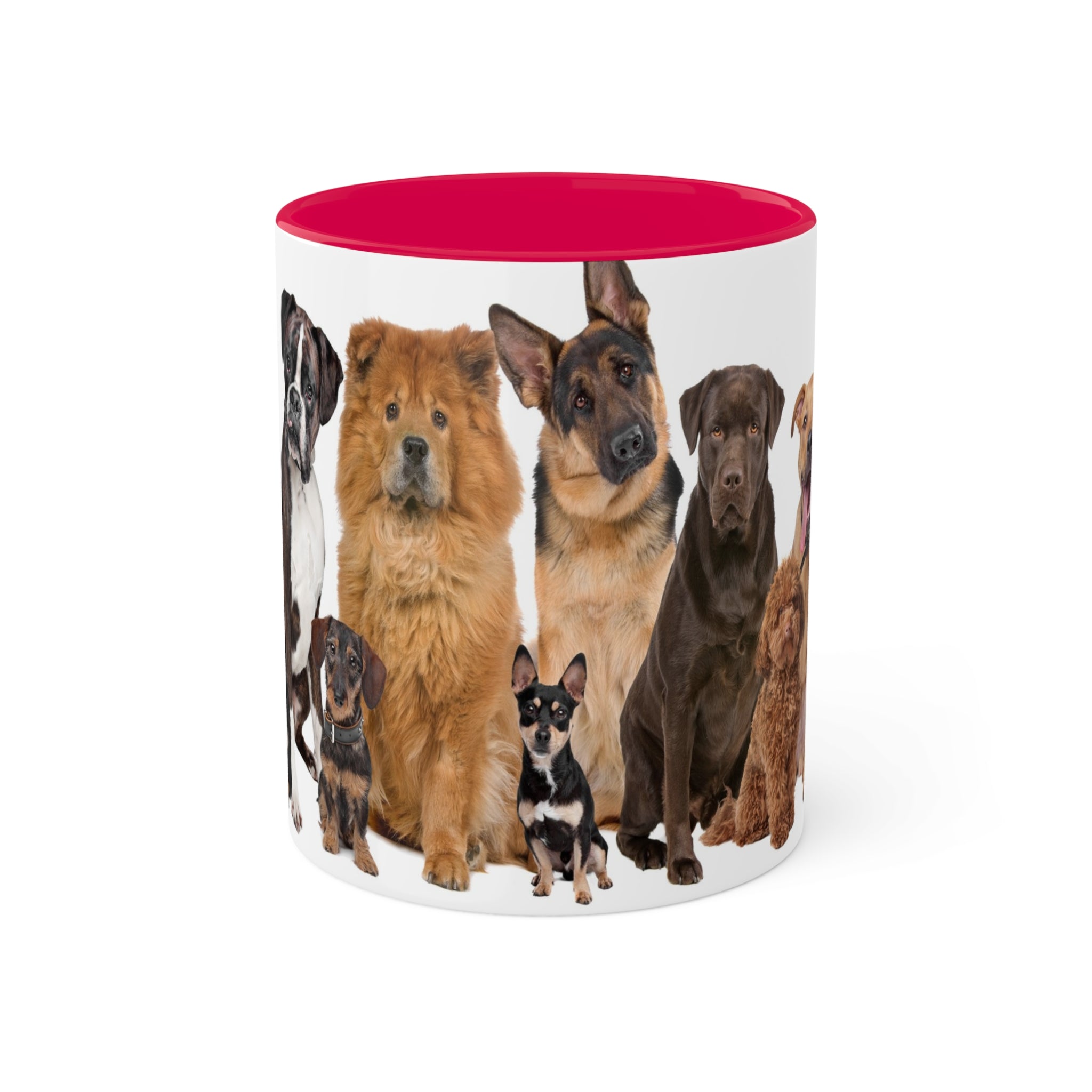 Mixed Breeds Of Dogs & Puppies Colorful Mugs, 11oz