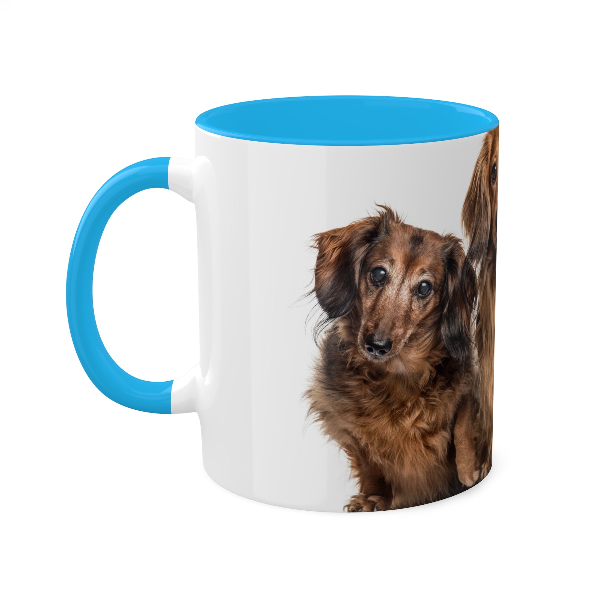 Mixed Breeds Of Dogs Colorful Mugs, 11oz