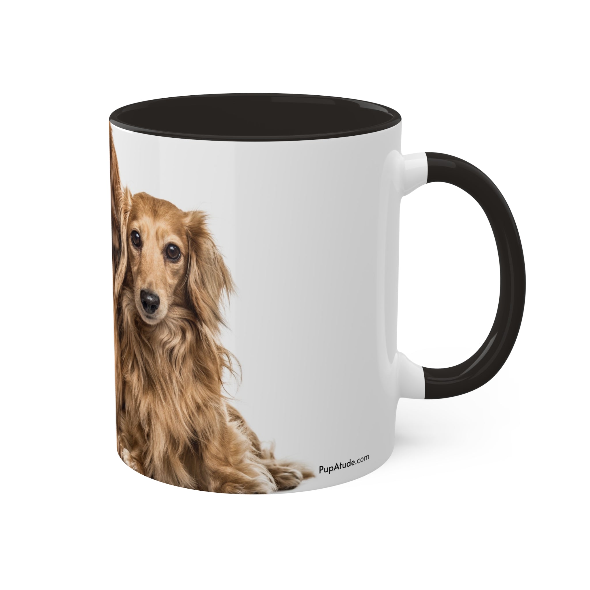 Mixed Breeds Of Dogs Colorful Mugs, 11oz