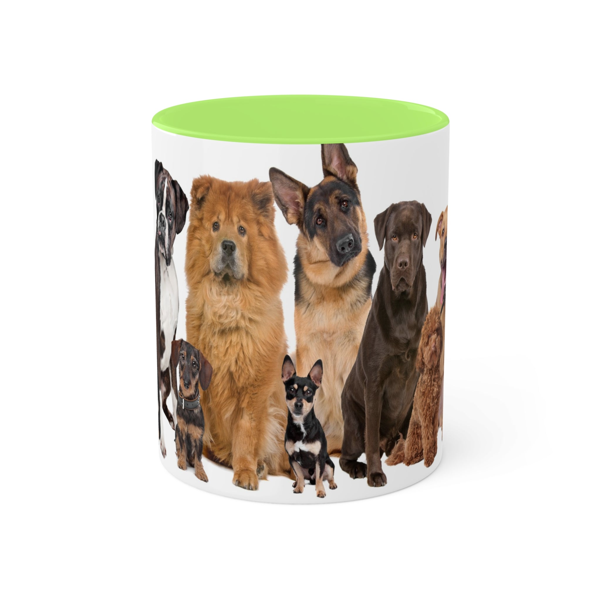 Mixed Breeds Of Dogs & Puppies Colorful Mugs, 11oz