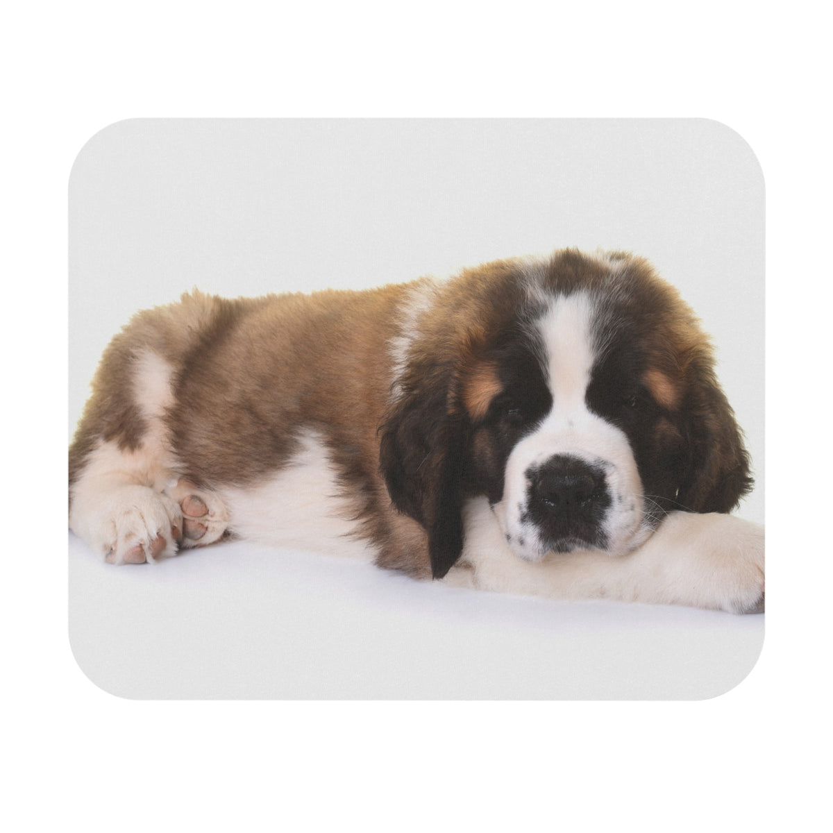 Saint Bernard Mouse Pad (Rectangle)