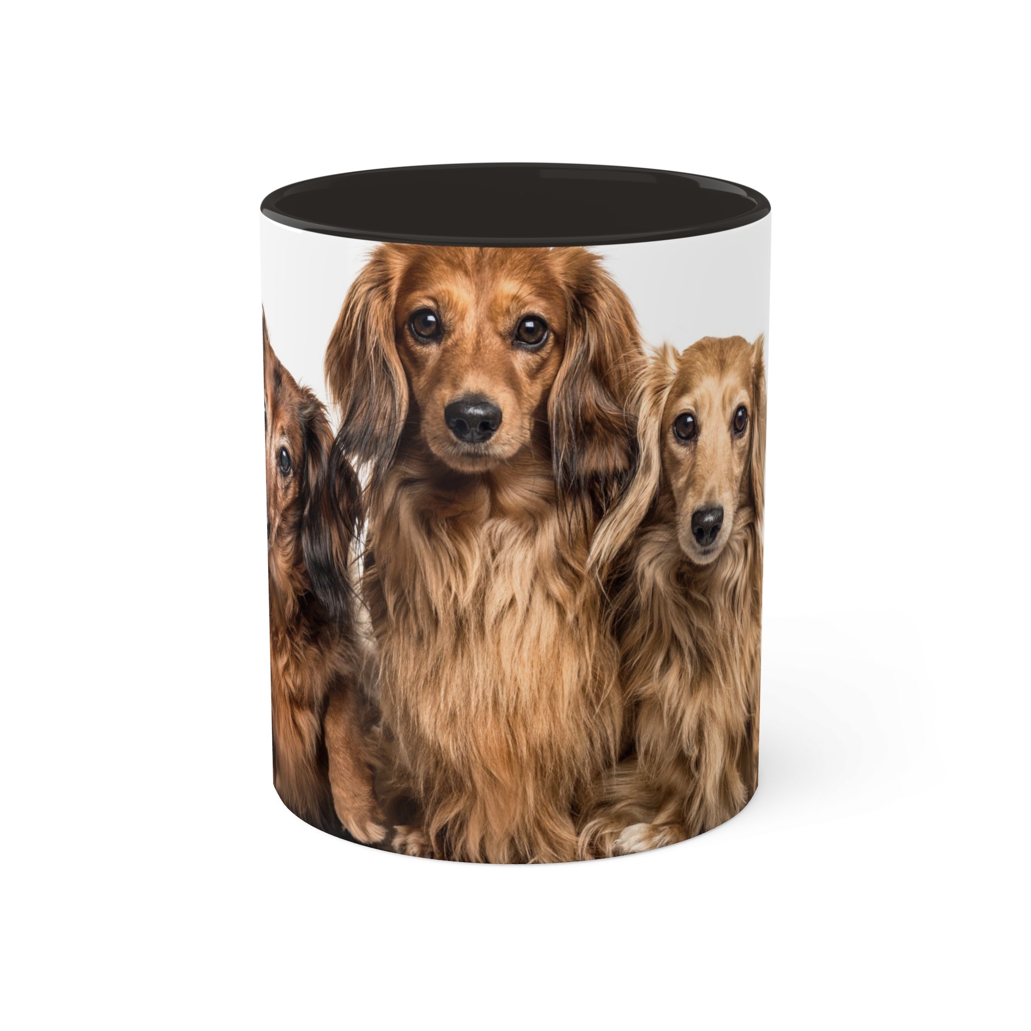 Mixed Breeds Of Dogs Colorful Mugs, 11oz