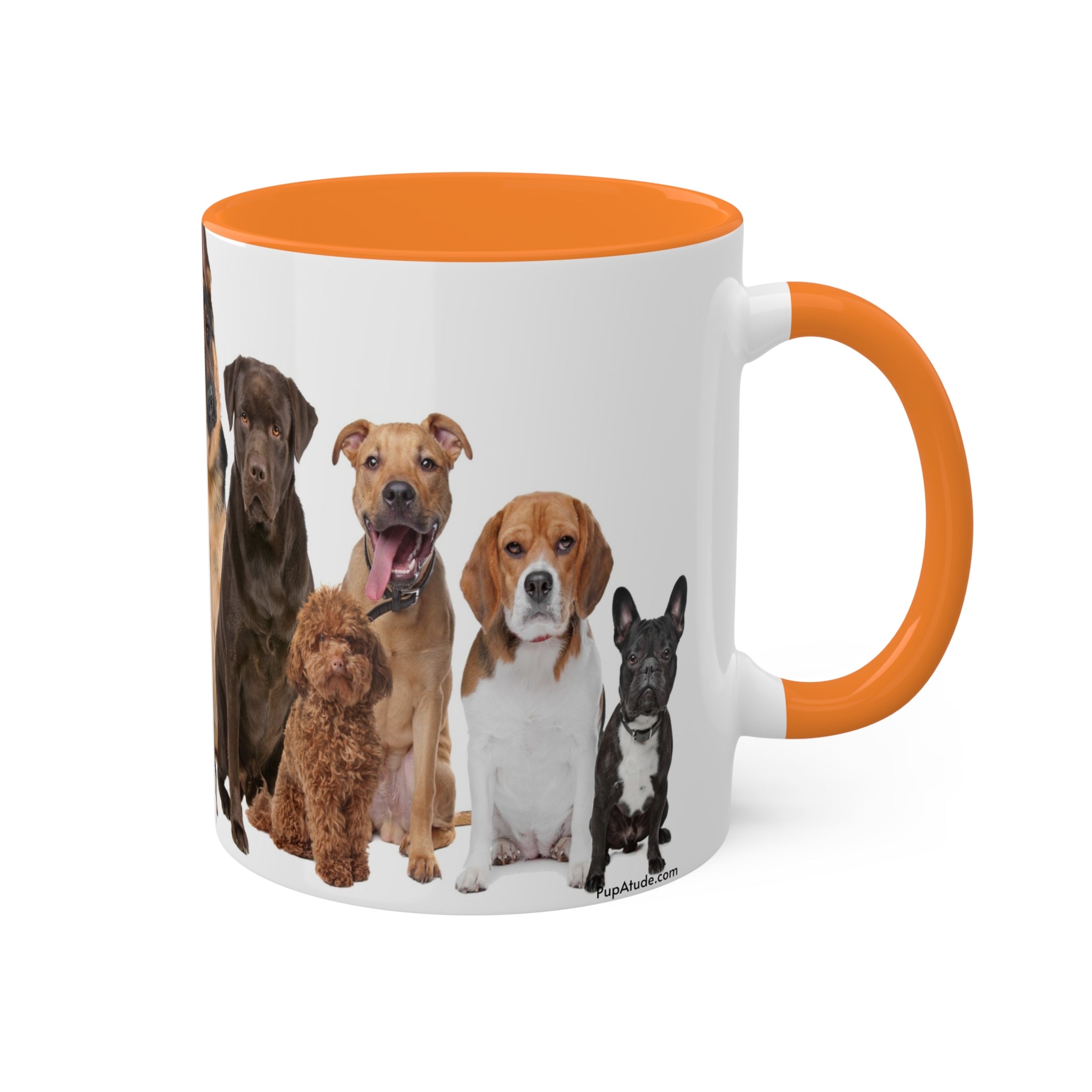 Mixed Breeds Of Dogs & Puppies Colorful Mugs, 11oz